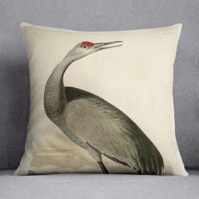 Whooping Crane by Audubon Cushion (Insert: Without Insert, size: 18" X 18")