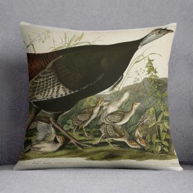 Wild Turkey 2 by Audubon Cushion (Insert: With Insert, size: 18" X 18")